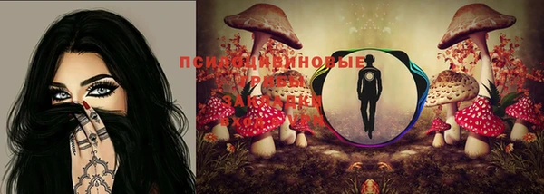 кокаин колумбия Алзамай