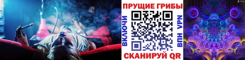 дарнет шоп  Берёзовский  Псилоцибиновые грибы мухоморы 